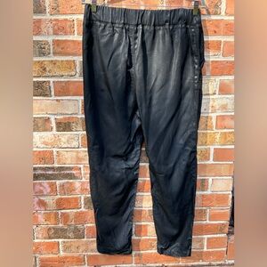 Denimocracy Black Coated Denim Tencel Pants With Pull On Style . Woman’s Size Lg